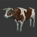 Brown and white cow with horns standing on dark background with reflective surface