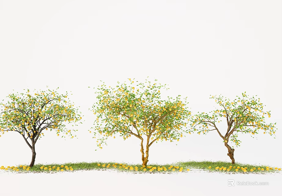 Beautiful Plant Combination with Three Trees Yellow Trunks Green Yellow Leaves Yellow Flowers on Grass 3d model 
