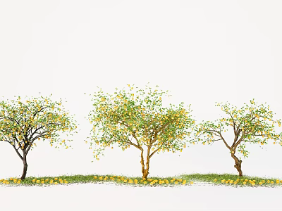 Beautiful Plant Combination with Three Trees Yellow Trunks Green Yellow Leaves Yellow Flowers on Grass 3d model