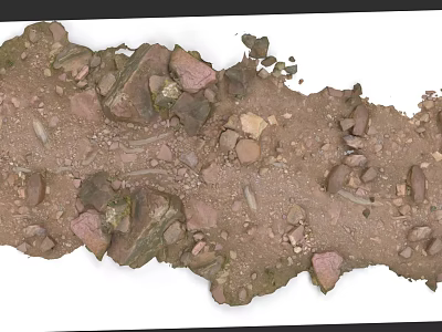 Micro Terrain Landscape With Soil Stones And Small Green Plants 3d model