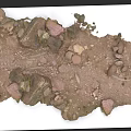 Micro Terrain Landscape With Soil Stones And Small Green Plants