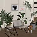 Indoor Plant Combinations With Large Leaf Potted Greenery And Home Decor Furniture In Living Space