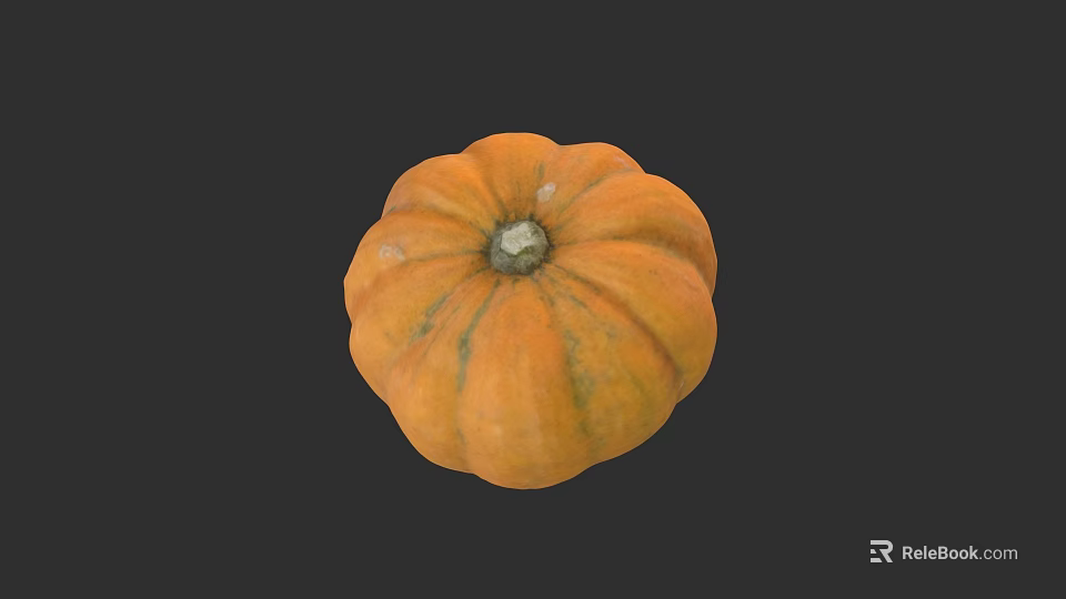 Detailed Botanical Painting of Orange Pumpkin with Round Shape and Textured Surface 3d model 