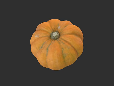 Detailed Botanical Painting of Orange Pumpkin with Round Shape and Textured Surface 3d model