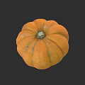 Detailed Botanical Painting of Orange Pumpkin with Round Shape and Textured Surface