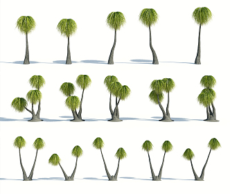 Modern Palm Tree 3d model