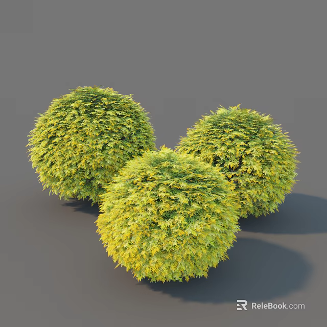 Three Well Trimmed Round Yellow Green Shrubs For Garden Landscaping 3d model 