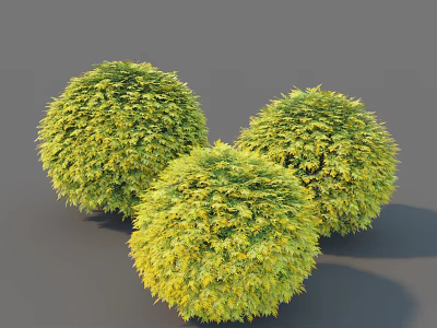 Three Well Trimmed Round Yellow Green Shrubs For Garden Landscaping 3d model