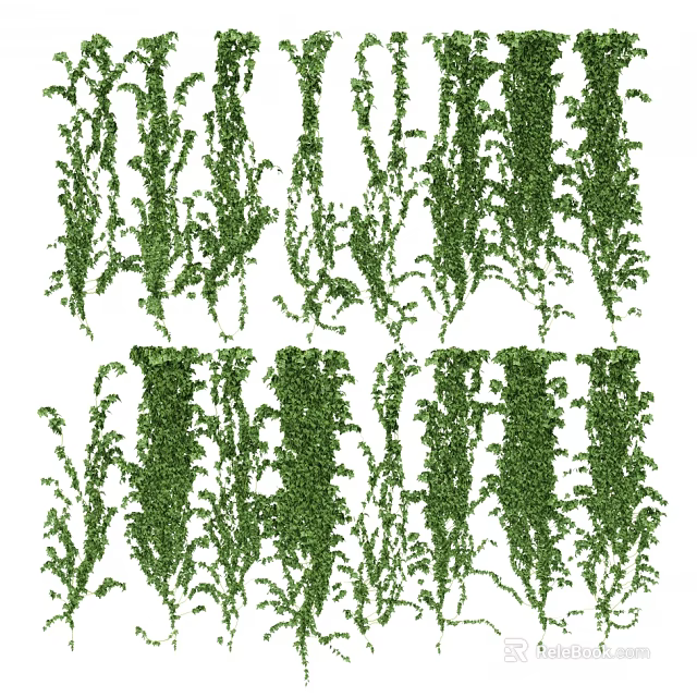 Green Decorative Vines for Hanging Natural Plant Displays and Design 3d model 