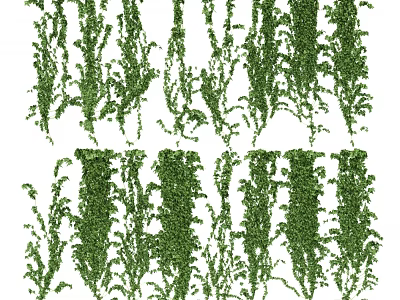 Green Decorative Vines for Hanging Natural Plant Displays and Design 3d model