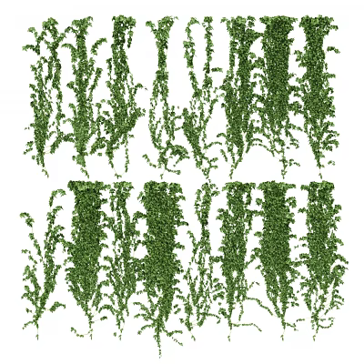 Green Decorative Vines for Hanging Natural Plant Displays and Design 3d model