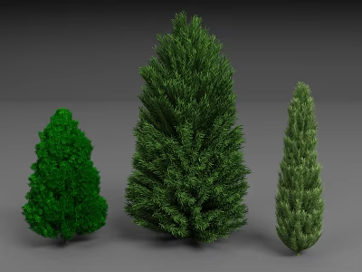 Three Different Shaped Green Evergreen Trees with Lush Foliage and Unique Forms 3d model