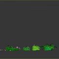 Various Green Plants Collection with Different Types Including Shrubs Grass Ferns and Purple Flowers