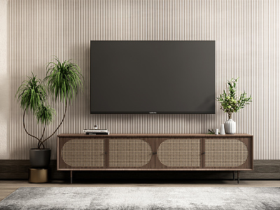 Nordic TV Cabinet Rattan TV Cabinet TV Plant Potted model