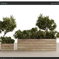 Wooden Flower Planters With Green Plants Different Sizes For Garden Decoration