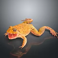 Vibrant Yellow Spotted Frog With Open Mouth On Dark Reflective Surface