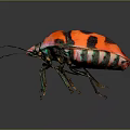 Red and Black Beetle Showcasing Vibrant Green and Pink Iridescent Colors on Dark Background