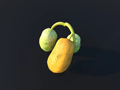 Fresh Three Papayas on Vine with Ripe Yellow and Unripe Green Fruits 3d model