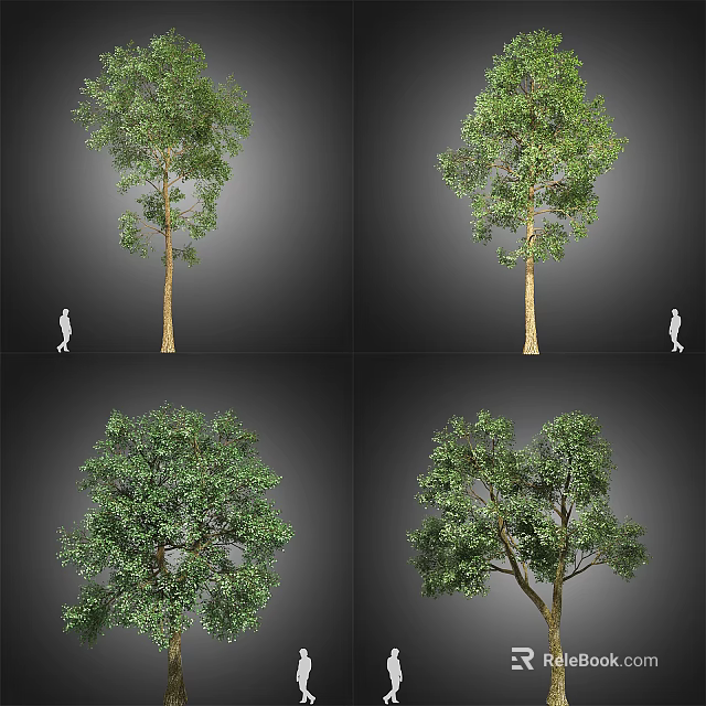 Multiple Views of Arbor Featuring Lush Green Leaves and Natural Trunk in Different Forms 3d model 