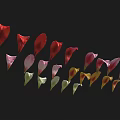 Colorful Flower Petals in Various Shades Arranged Neatly on Black Background