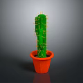 Tall Green Cactus With Thorns In Orange Pot On Gray Background
