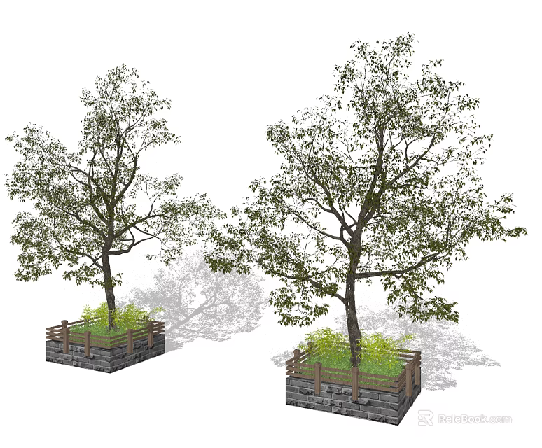 Tall Arbor With Green Foliage Planted In Stone Planter And Natural Shadows 3d model 