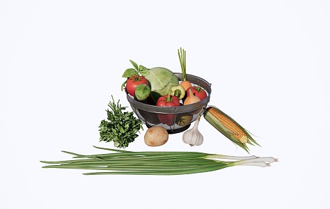 Modern Vegetable Combination 3d model