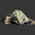 Green And Brown Spotted Frog 3D Model With Stretched Body On Smooth Surface