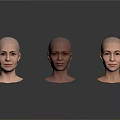 Multiple Bald Women Head Models Showcasing Various Skin Tones And Facial Features