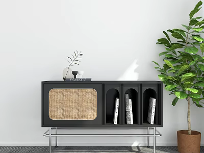Black Entryway Console Cabinet With Rattan Woven Panel Metal Legs Books And Green Plant 3d model