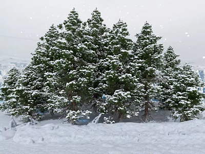 Scenic Winter Landscape With Snow Covered Pine Trees And White Snowy Ground 3d model