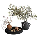 Decorative Vase with Olive Tree Branches and Terracotta Pot on Black Tray with Acorns
