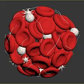 Innovative Medical Device Visualizing Red Blood Cells and White Blood Cells Connections