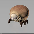 Pupa Like Sculpture With Human Face Features Legs And Bumpy Light Brown Surface