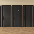 Modern Security Doors Featuring Black Finish And Various Stylish Design Details 3d model