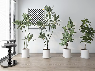 Indoor Potted Plants in White Pots with Wooden Floor and Decorative Wall Art 3d model