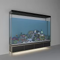 Large Aquarium With Colorful Corals Decorative Stones Tropical Fish Black Base Drawers And Under Cabinet Lighting