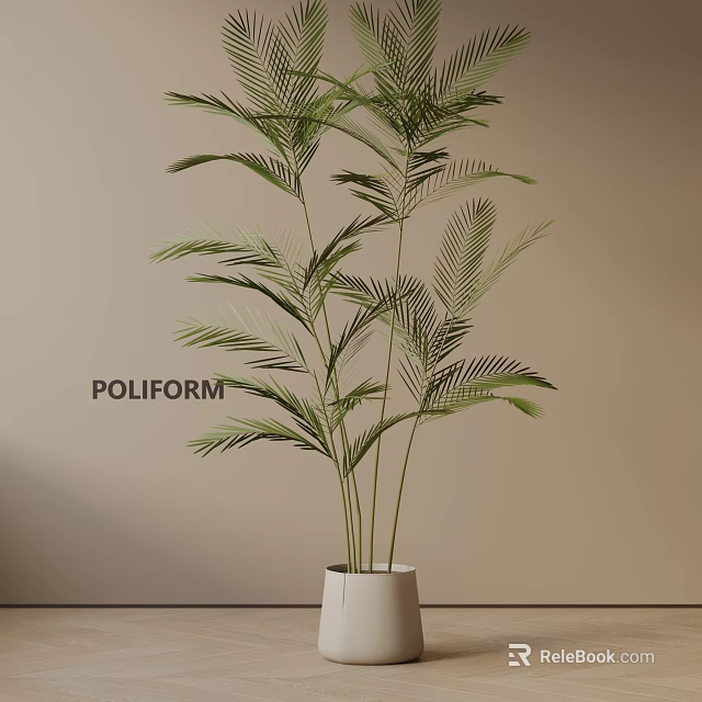 Indoor Potted Palm Plant In White Pot Against Light Brown Wall For Modern Decor 3d model 