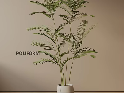 Indoor Potted Palm Plant In White Pot Against Light Brown Wall For Modern Decor 3d model