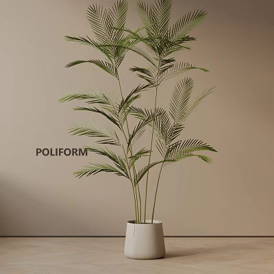 Indoor Potted Palm Plant In White Pot Against Light Brown Wall For Modern Decor 3d model