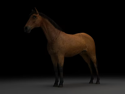 Brown Reptile Lizard Standing Against Black Background With Natural Posture 3d model