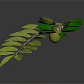 Vibrant Green Plant Branch With Lush Foliage And Small Red Fruit