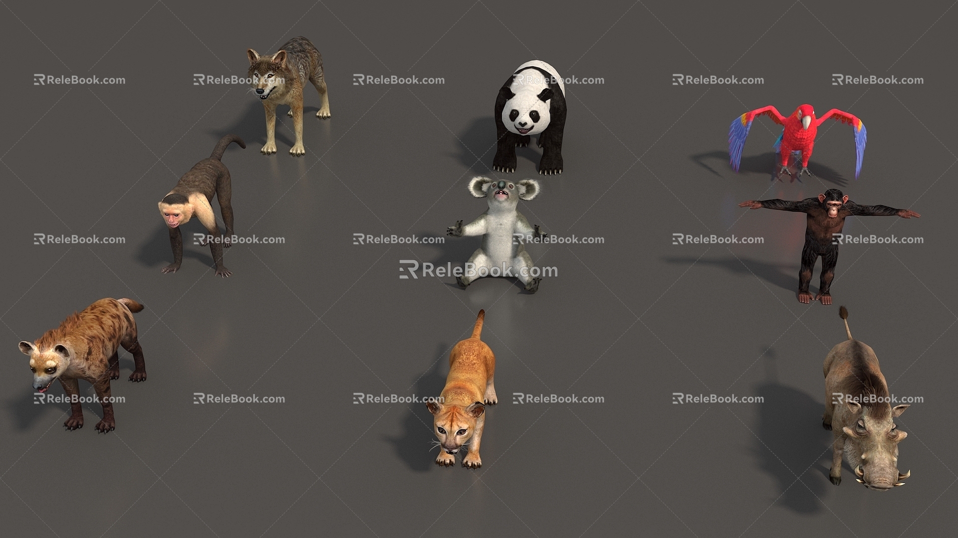 Animal Mammal Low Model Animal Low Face Number Animal Game Animal Animal Simple Model Realistic Animal Parrot Rhino Panda Wolf Hyena Monkey 3d model