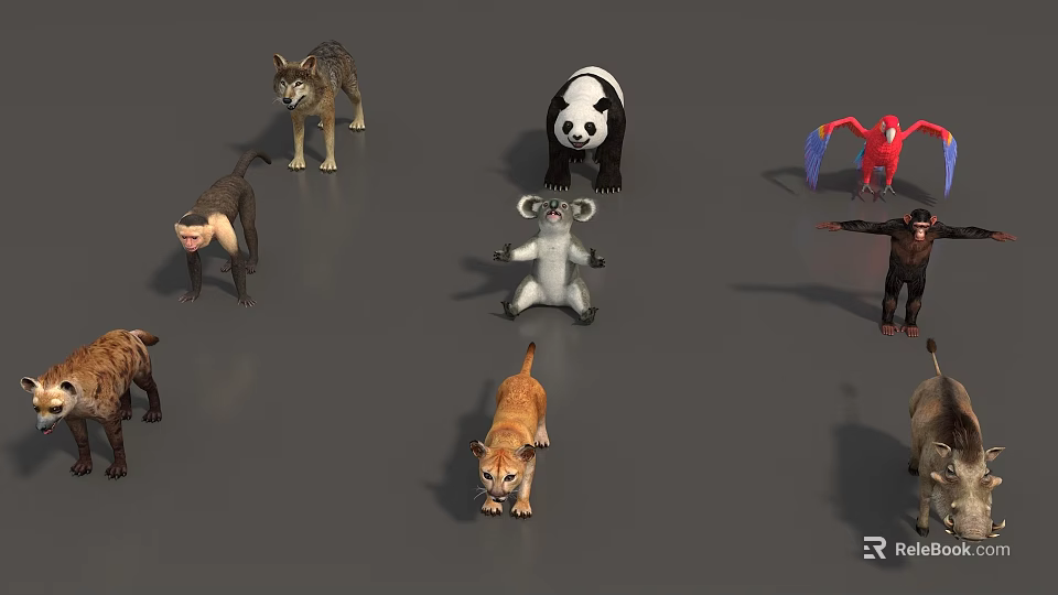 Diverse Reptile Species Including Lizards Snakes And Turtles In Natural Habitat 3d model 