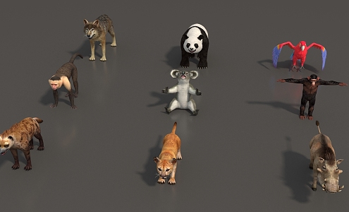 Animal Mammal Low Model Animal Low Face Number Animal Game Animal Simple Model Realistic Animal Parrot Rhino Panda Wolf Hyena Monkey 3d model