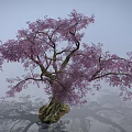 Vibrant Flowering Arbor with Pink Blossoms and Sturdy Trunk in Misty Setting