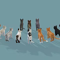 Various Breeds and Colored Cats with Distinct Patterns Standing on Blue Background