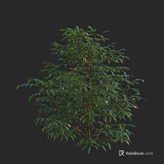 Lush Green Shrub With Dense Foliage Healthy Branches And Natural Growth 3d model 