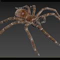 Goliath eating bird spider insect animal creature 3d model