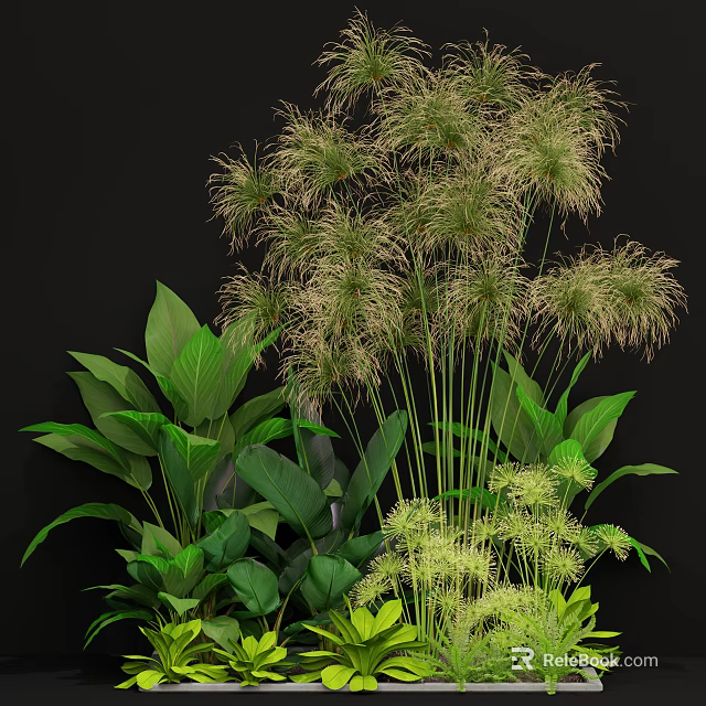 Lush Green Plants With Tall Grass Feathery Tops And Large Leaves Arrangement 3d model 